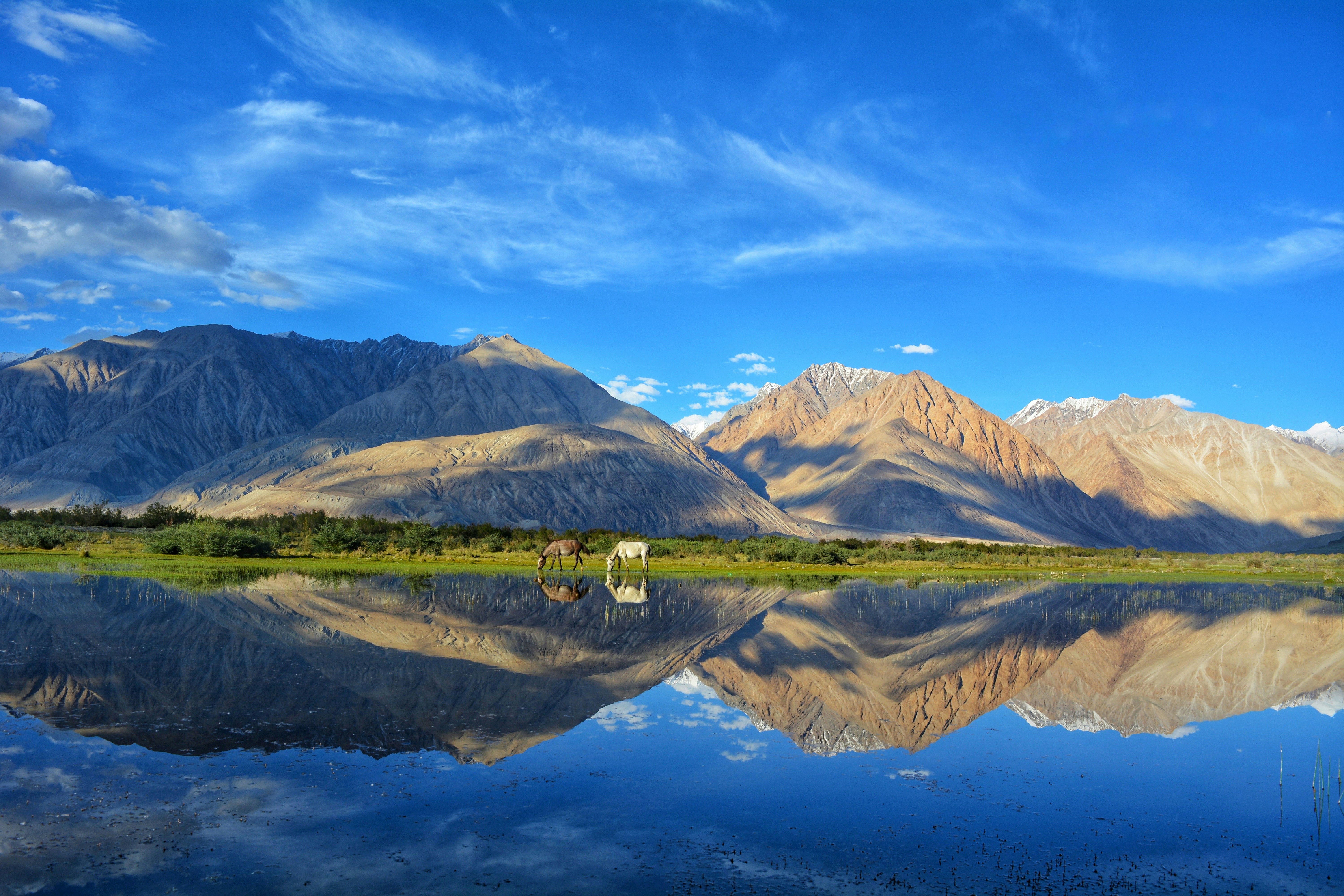 Things to do in Ladakh