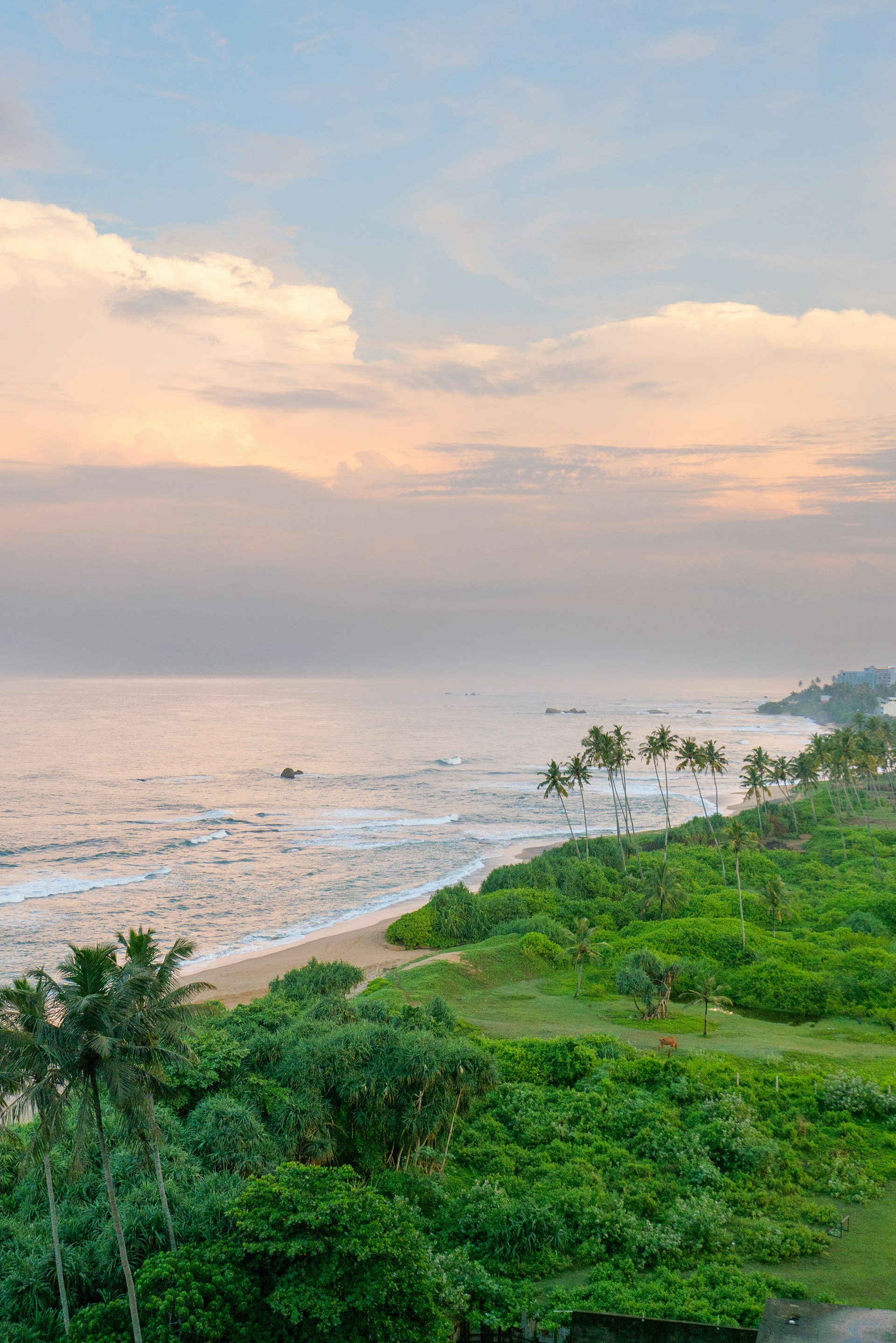 Discovering Vibrant Goa