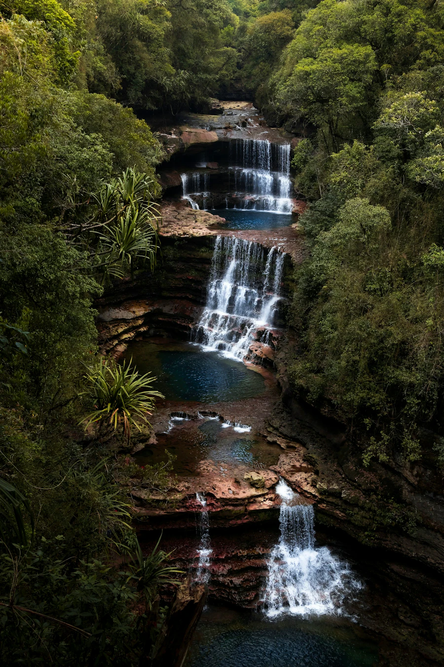 Meghalaya Road Trip