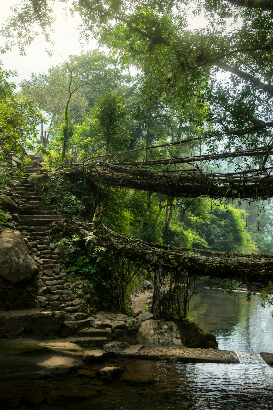 Meghalaya Road Trip