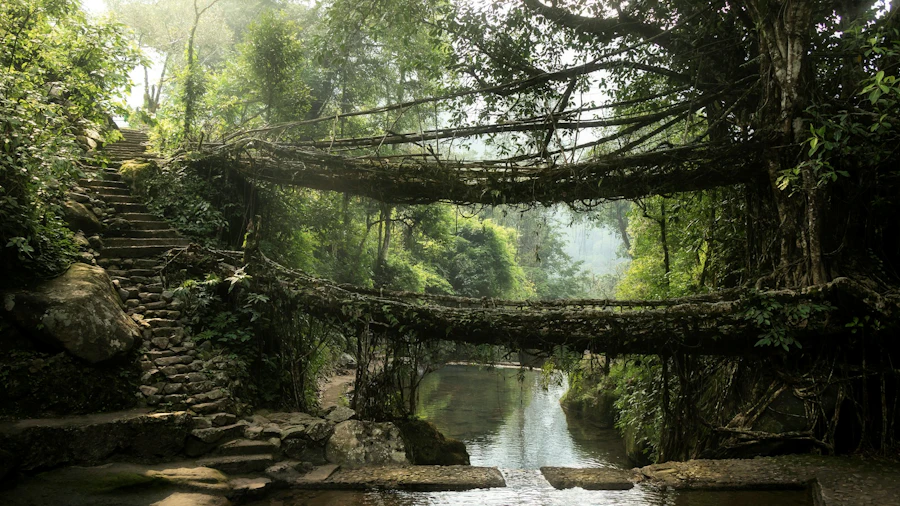 Meghalaya Community Trip