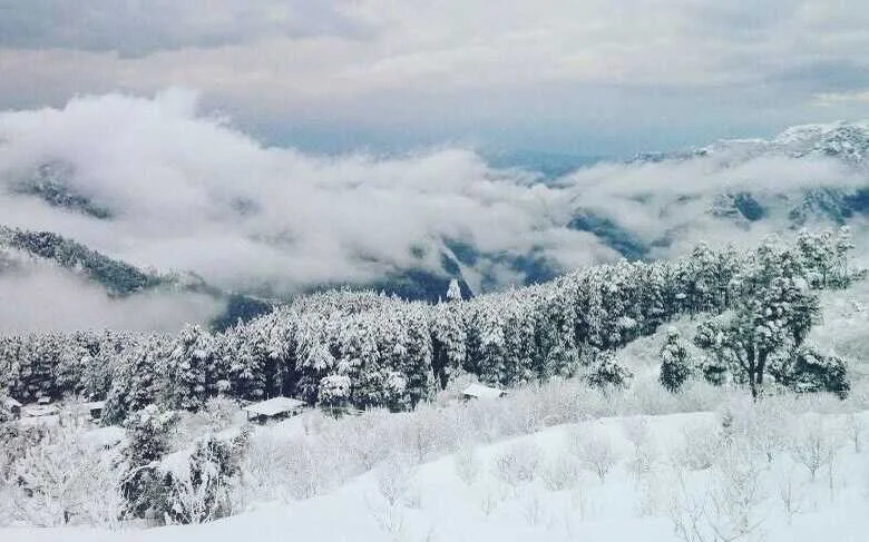 Thachi Valley Exploration 