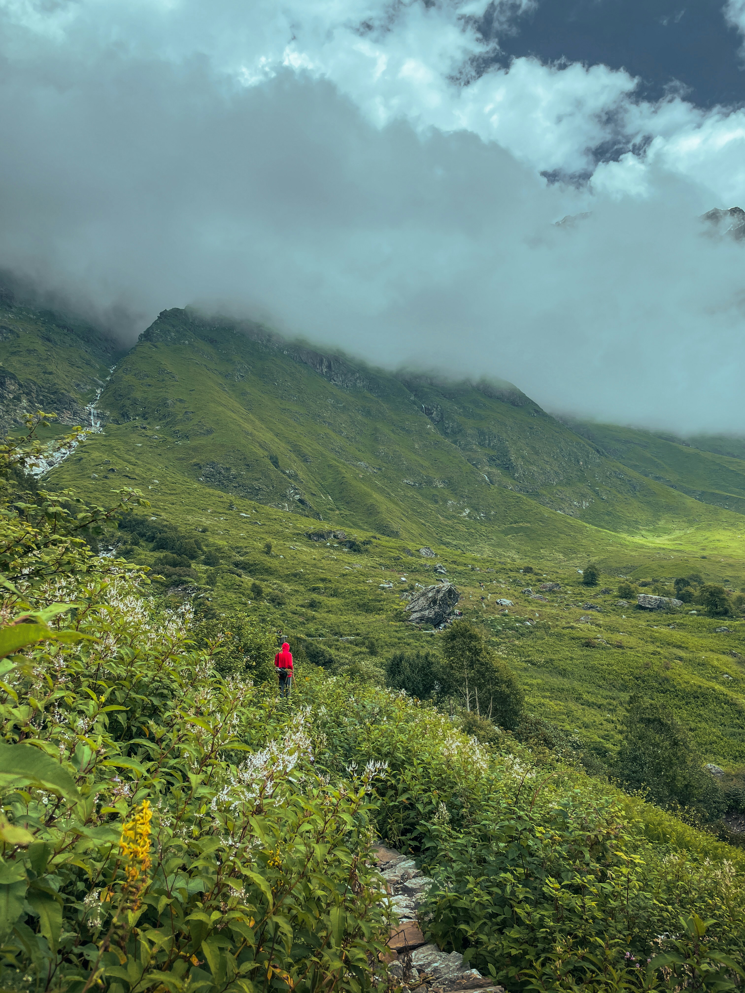 Valley of Flowers & Hemkund Sahib Trek (6 Days)