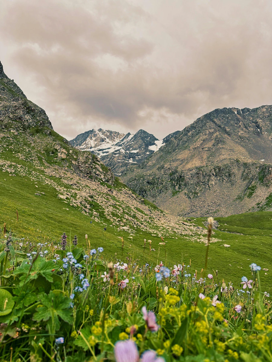 Valley of Flowers & Hemkund Sahib Trek (6 Days)