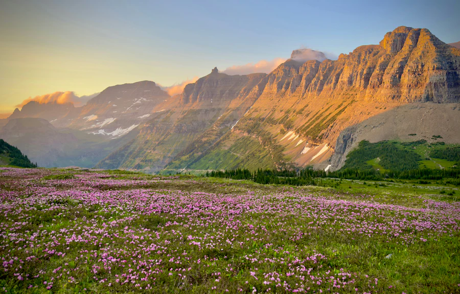 Valley of Flowers & Hemkund Sahib Trek (6 Days)