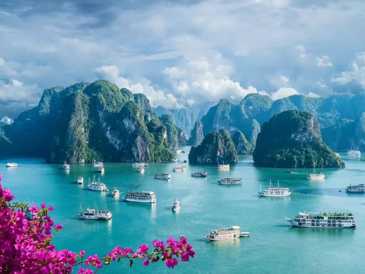 Vietnam New Year Trip - North & Central