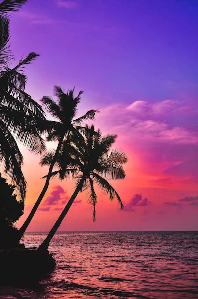 Sunset Spectacular- Maldives