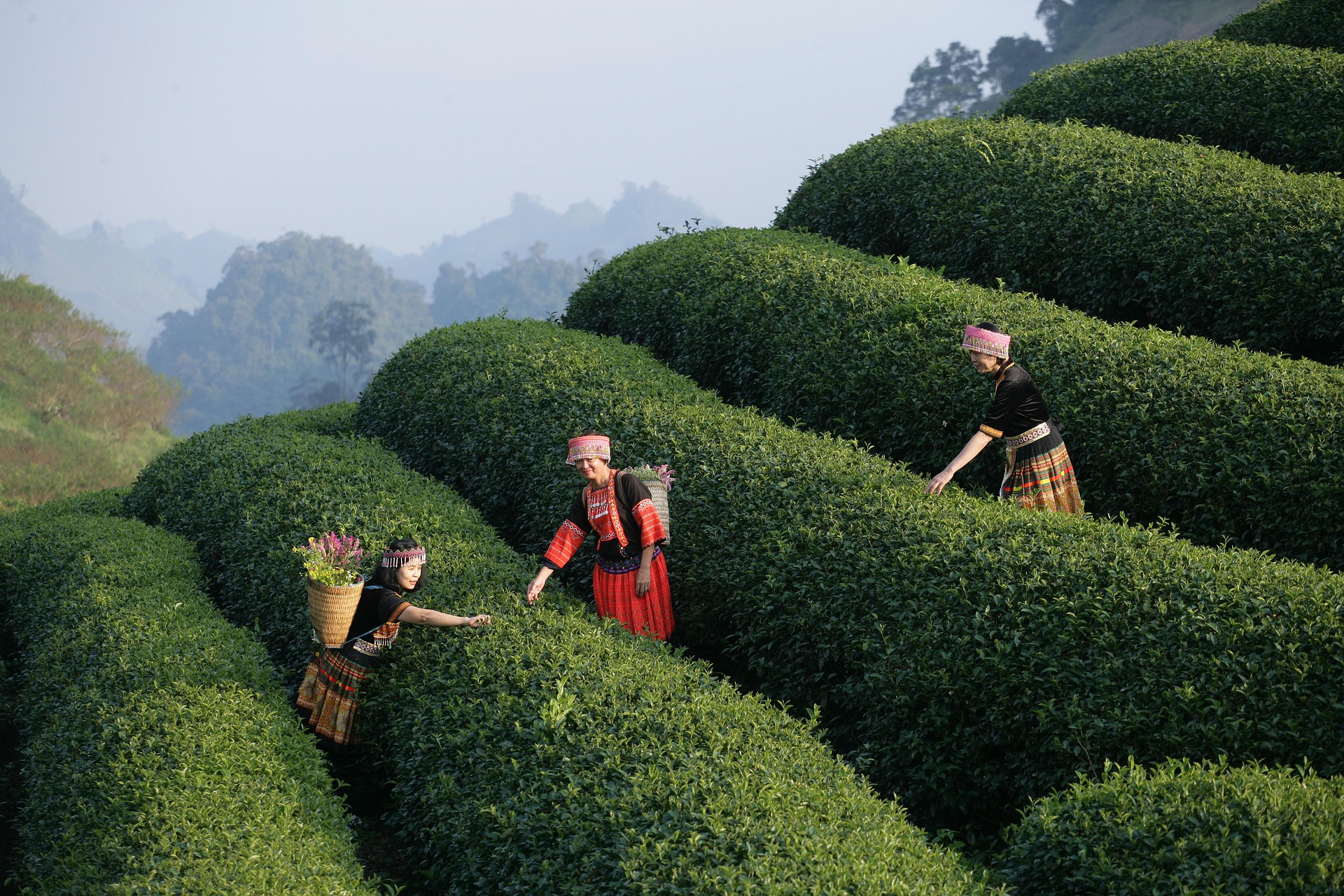 Vietnam Travel Tips to keep in Mind in 2024