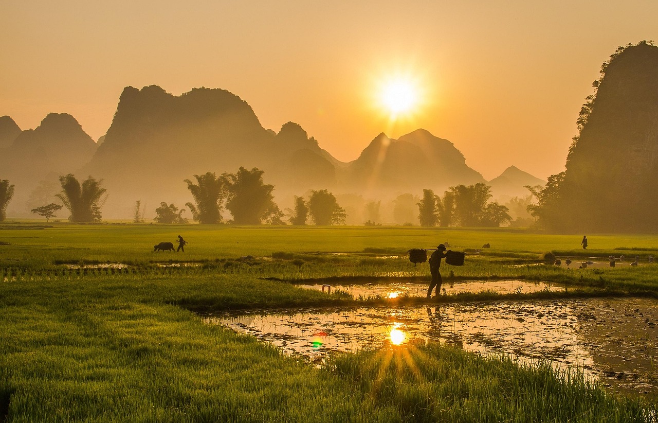 Top 8 Natural Attractions You Must Visit in Vietnam 
