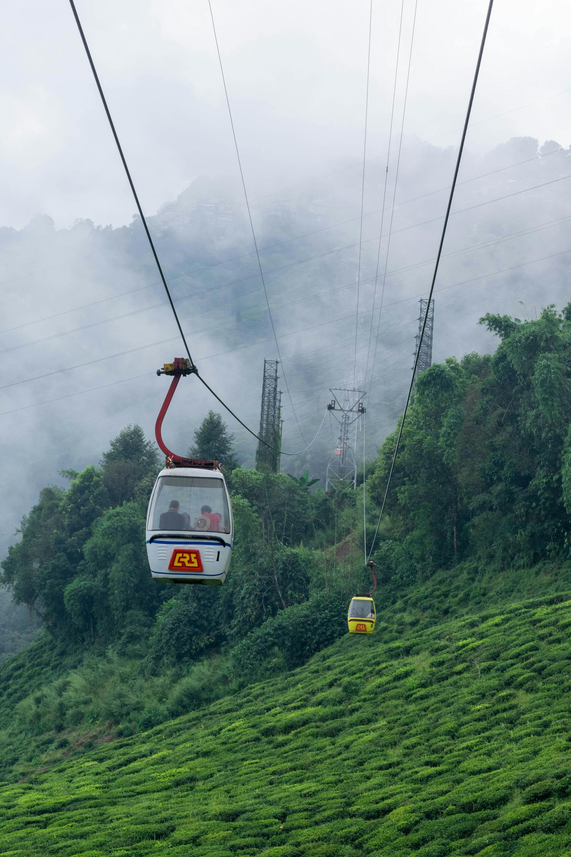 Things to do in Darjeeling