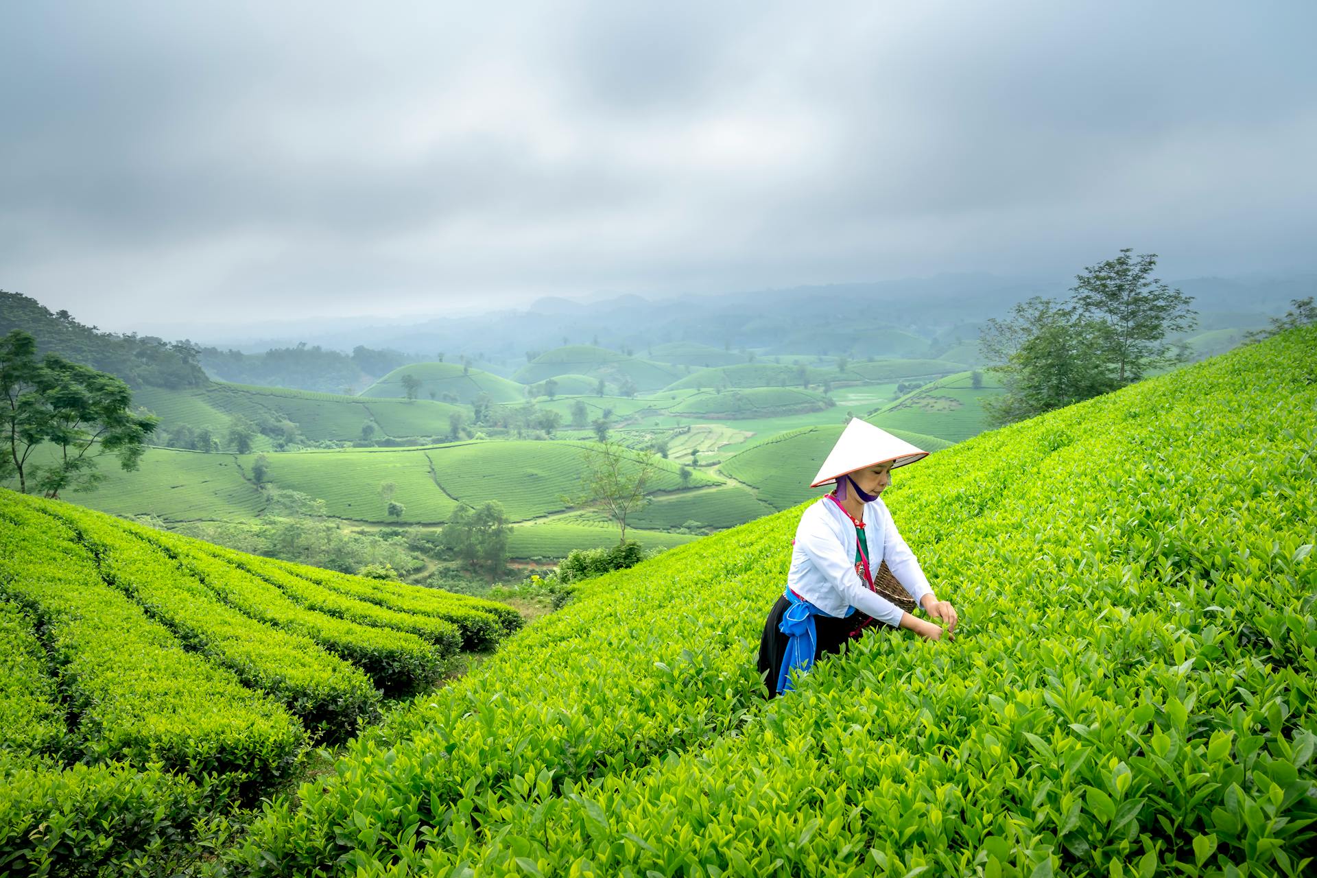 Top reasons to visit Sikkim